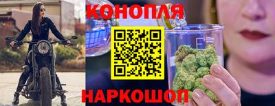мяу мяу мука Беслан