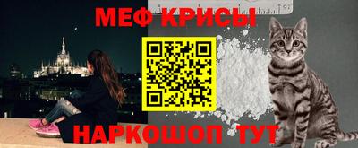 мяу мяу мука Беслан