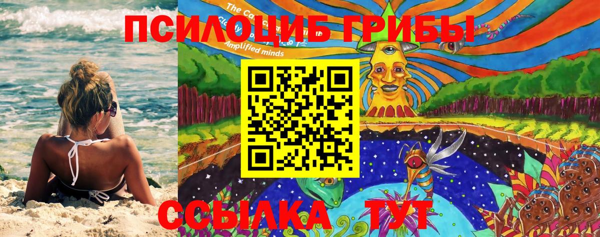 Псилоцибиновые грибы прущие грибы  купить наркотик  Зерноград  Галлюциногенные грибы MAGIC MUSHROOMS  Вход с VPN 