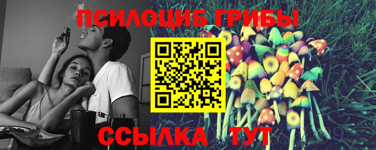 Галлюциногенные грибы Зерноград