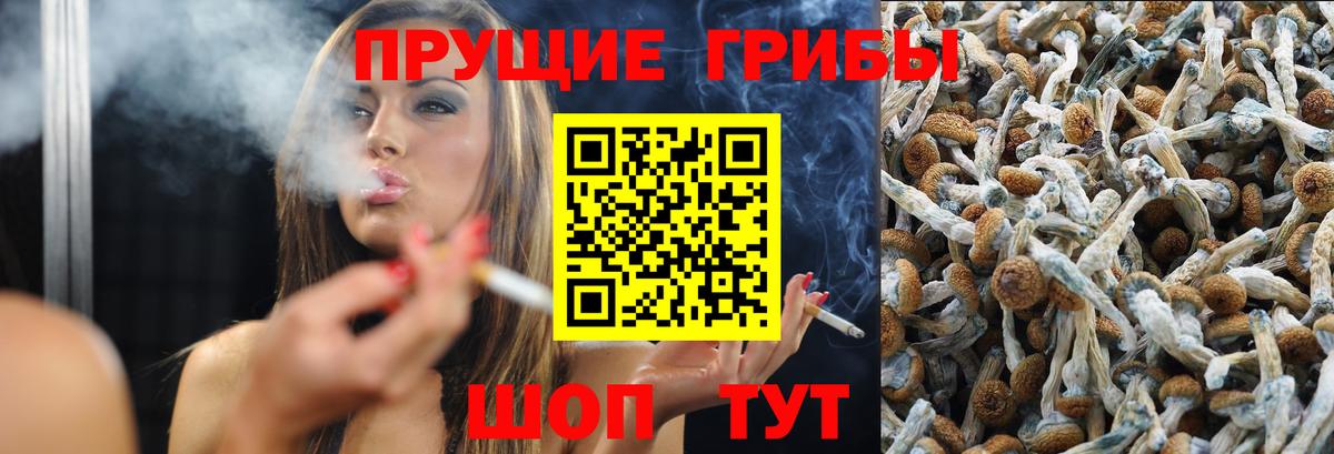 Галлюциногенные грибы Cubensis Зерноград